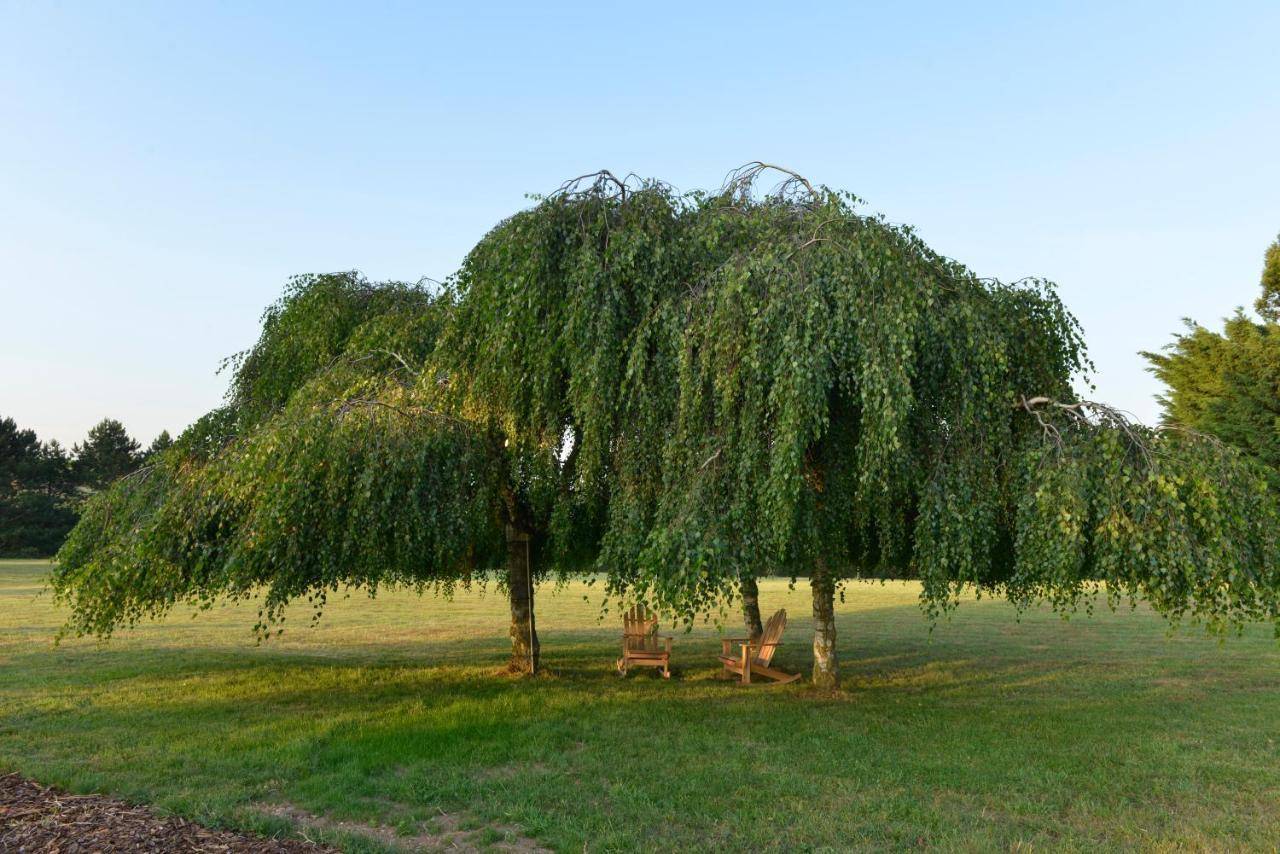 Maison D'Hotes Les Jardins De Madeleine Bernardville ภายนอก รูปภาพ
